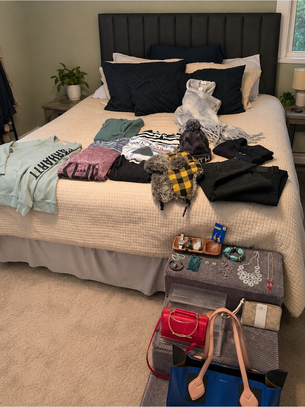 Women’s Clothing Bundle Carhartt Coach Michael Kors Levi’s Burton 25+ pcs